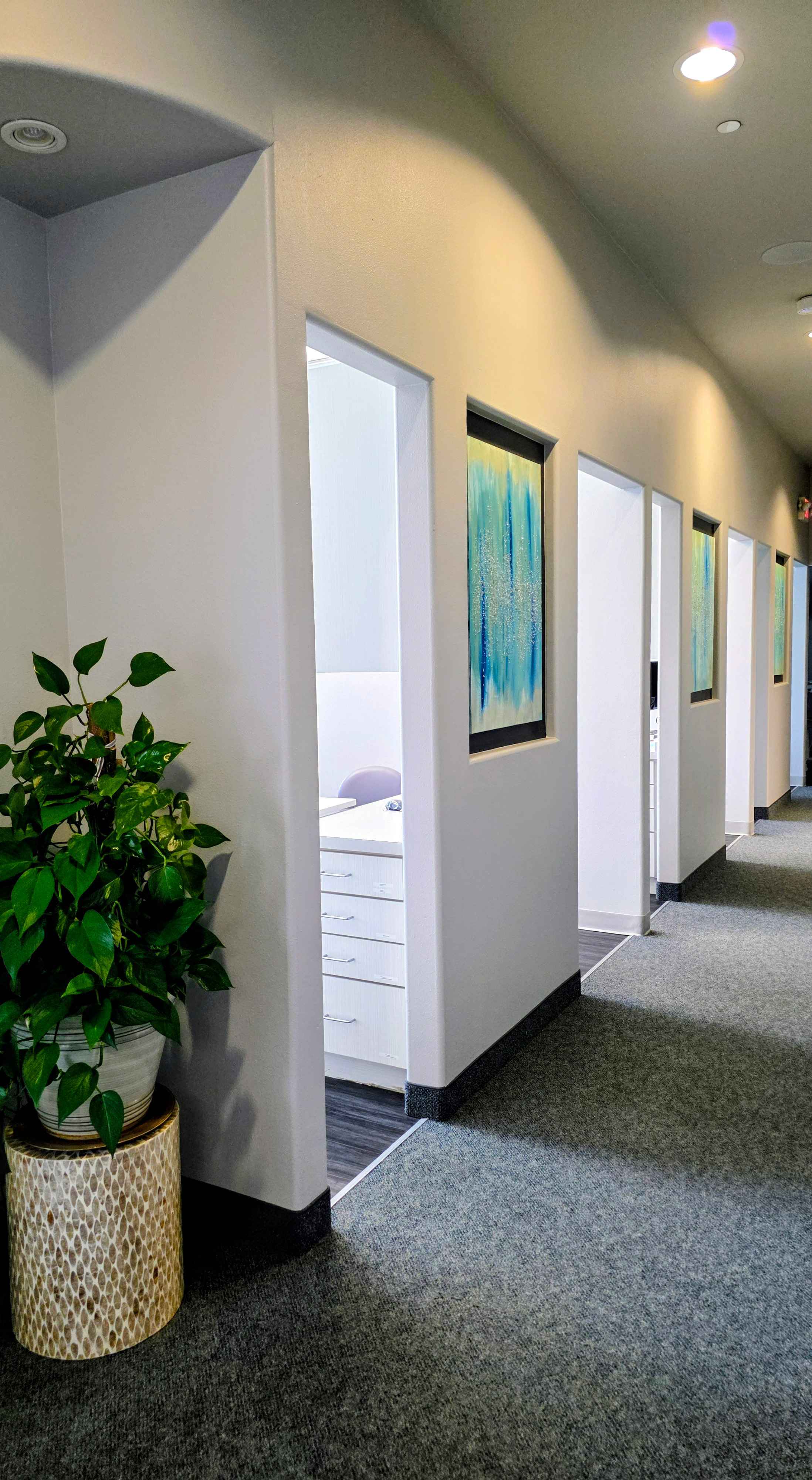 The image shows an interior space with white walls and a modern design, featuring a row of partitions with framed artwork on top, a potted plant, and a white floor.
